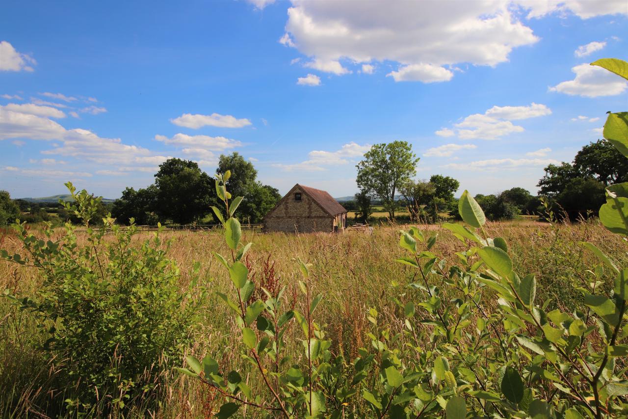 North Cottage - Country Retreat In The Heart Of Sussex -Twineham 外观 照片